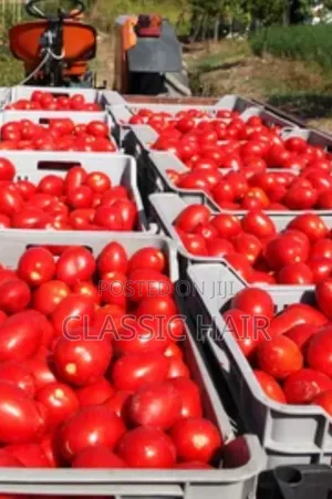 Organic Fertilizer