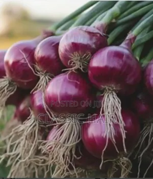 Organic Fertilizer