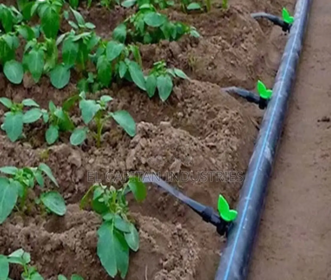 H.D.P.E Pipe / P.E Pipe