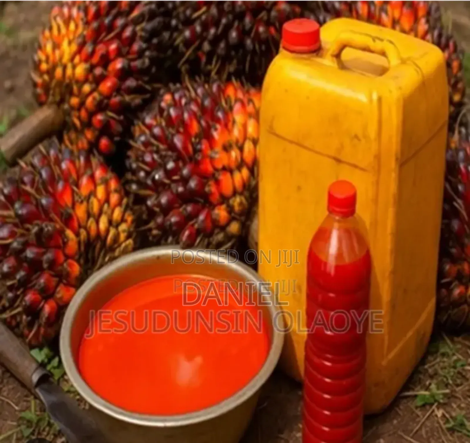 Pure Organic Red Oil Dealing