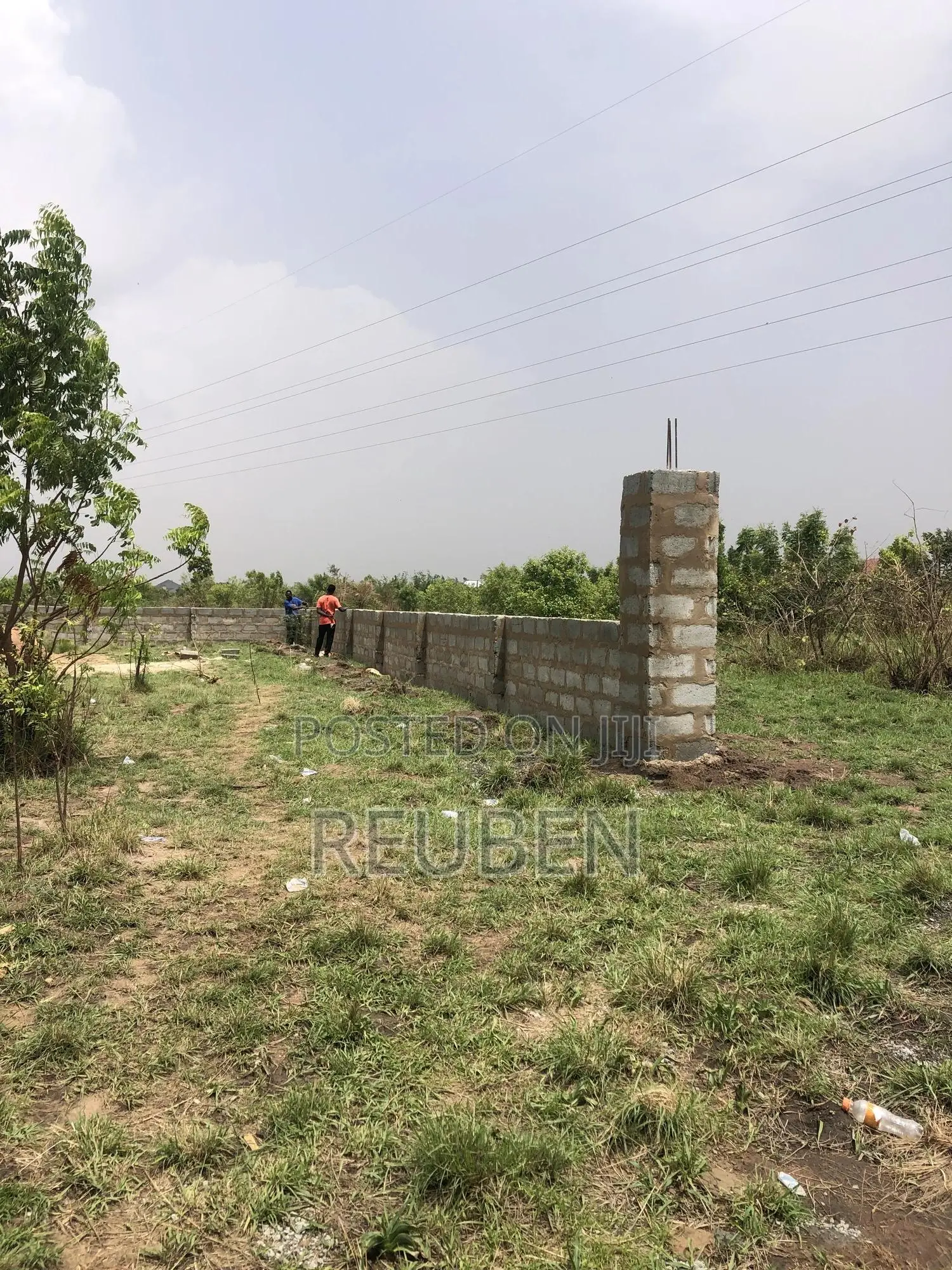 Farm Help Needed at Dodowa With Accommodation