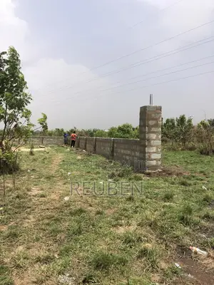 Farm Help Needed at Dodowa With Accommodation