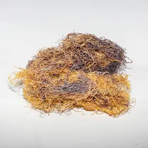 Human Body Is Made Up of 102minerals, Only This Seamoss Have 92.