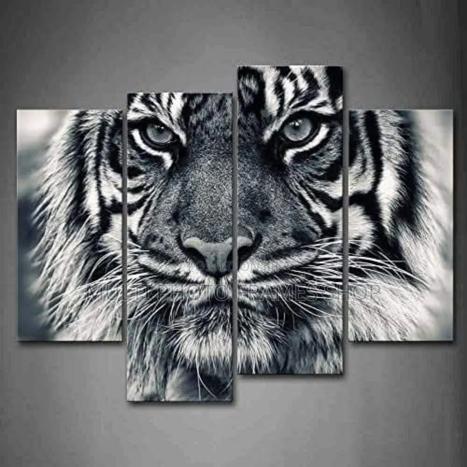Latest Frames, Lamination and Canvases Available
