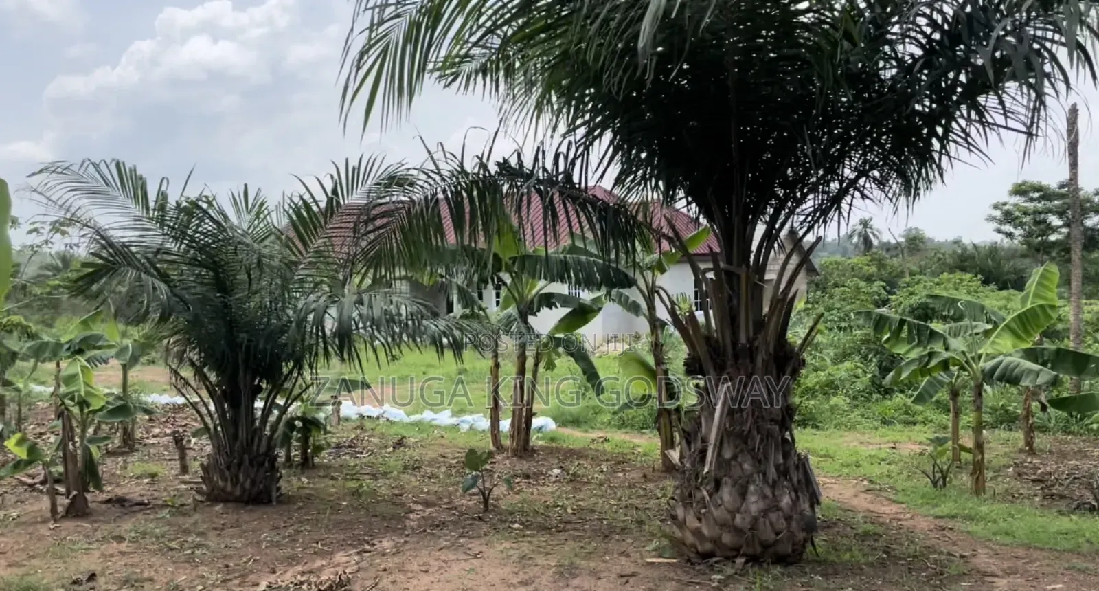 Personal Land for Sale