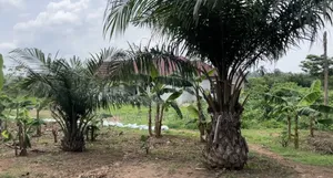 Personal Land for Sale