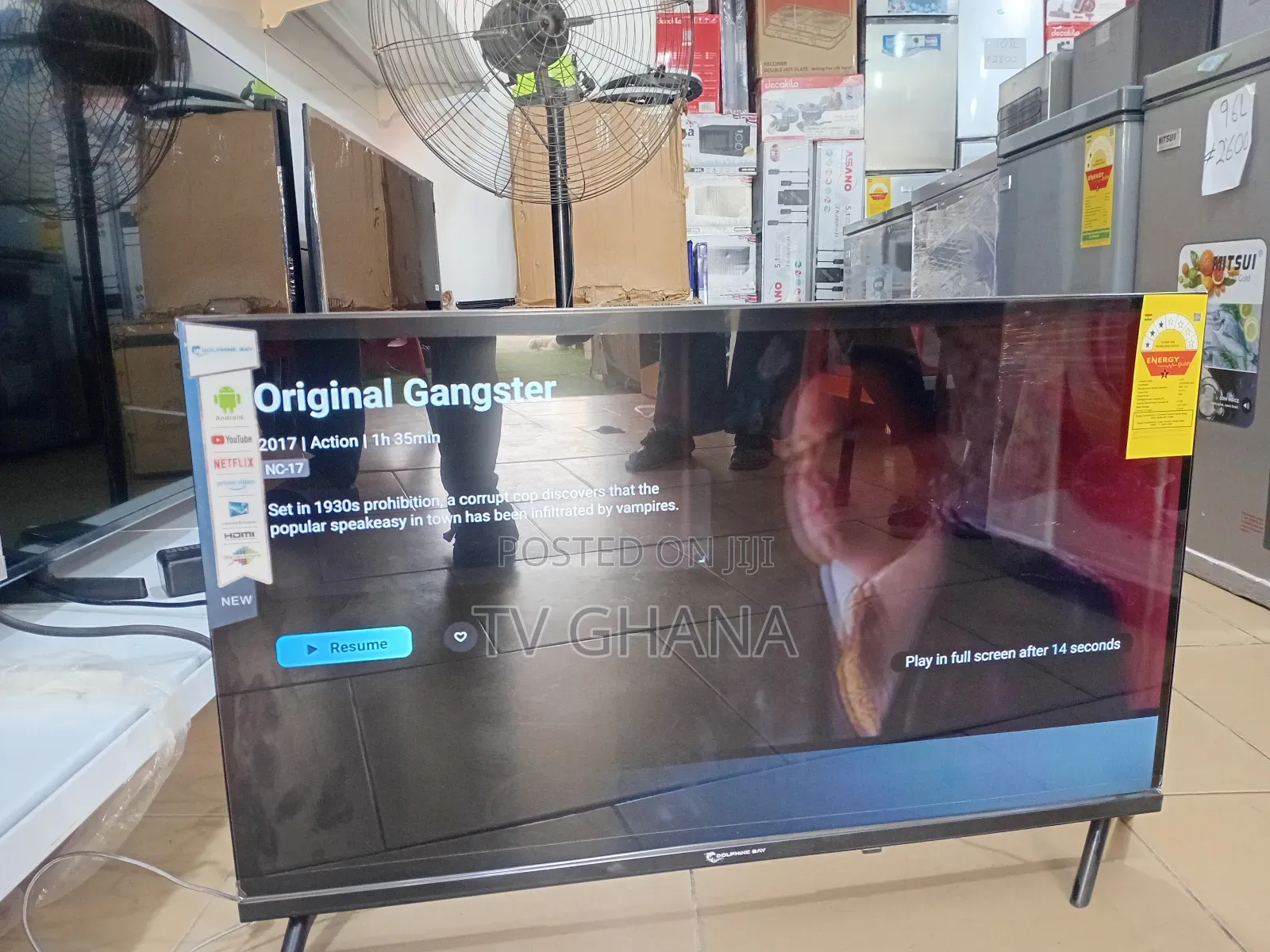 Dolphine Bay 32" Smart Tv, Tv That Streams Everything Tv 32 Dolphine
