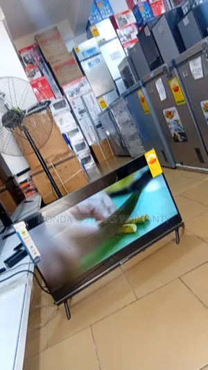 Smart Viewing Made Easy – Dolphine Bay 32"