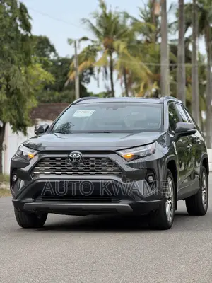 Toyota RAV4 Limited AWD 2023 Gray