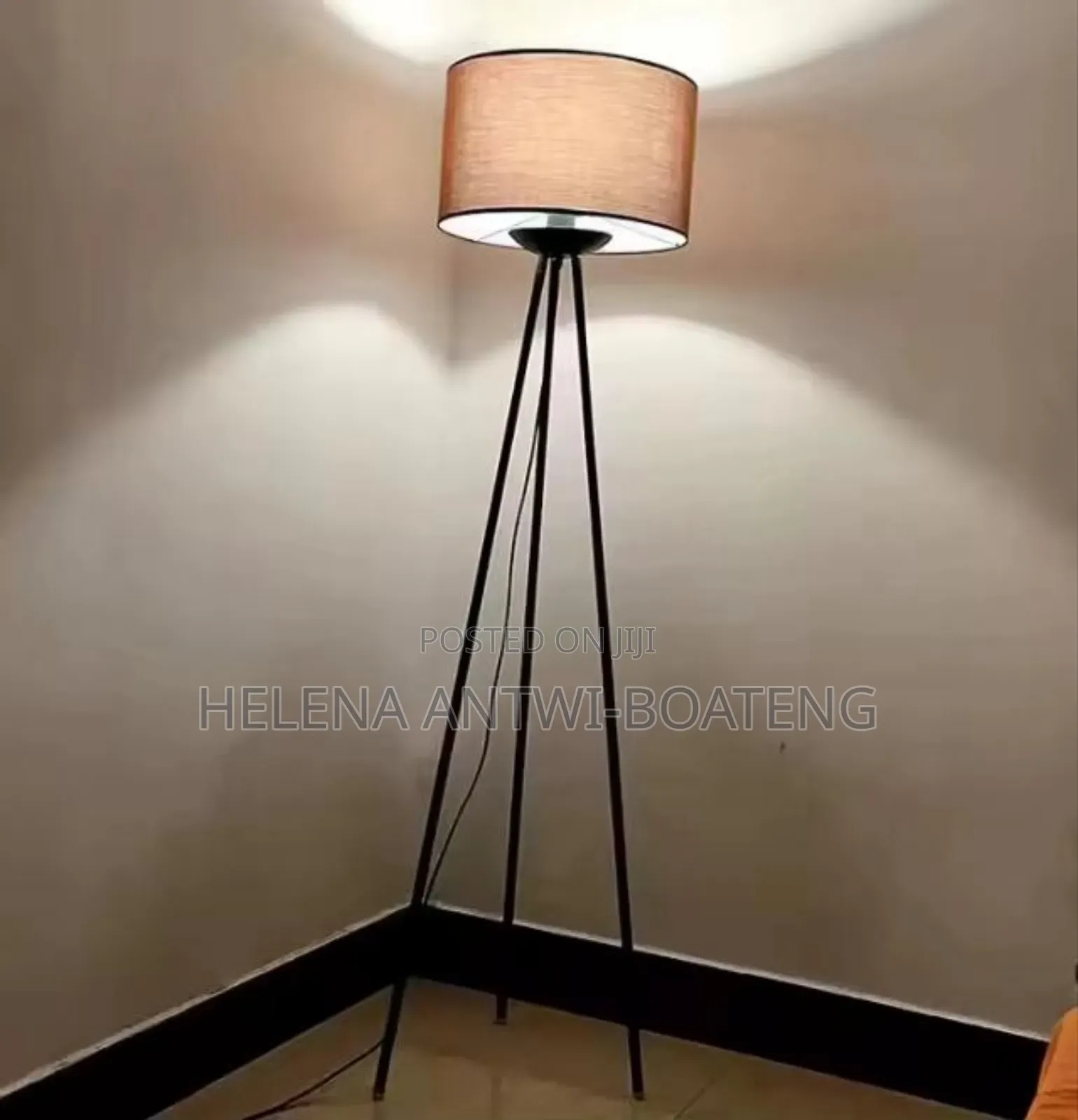 Floor Lamp/Standing Lamp