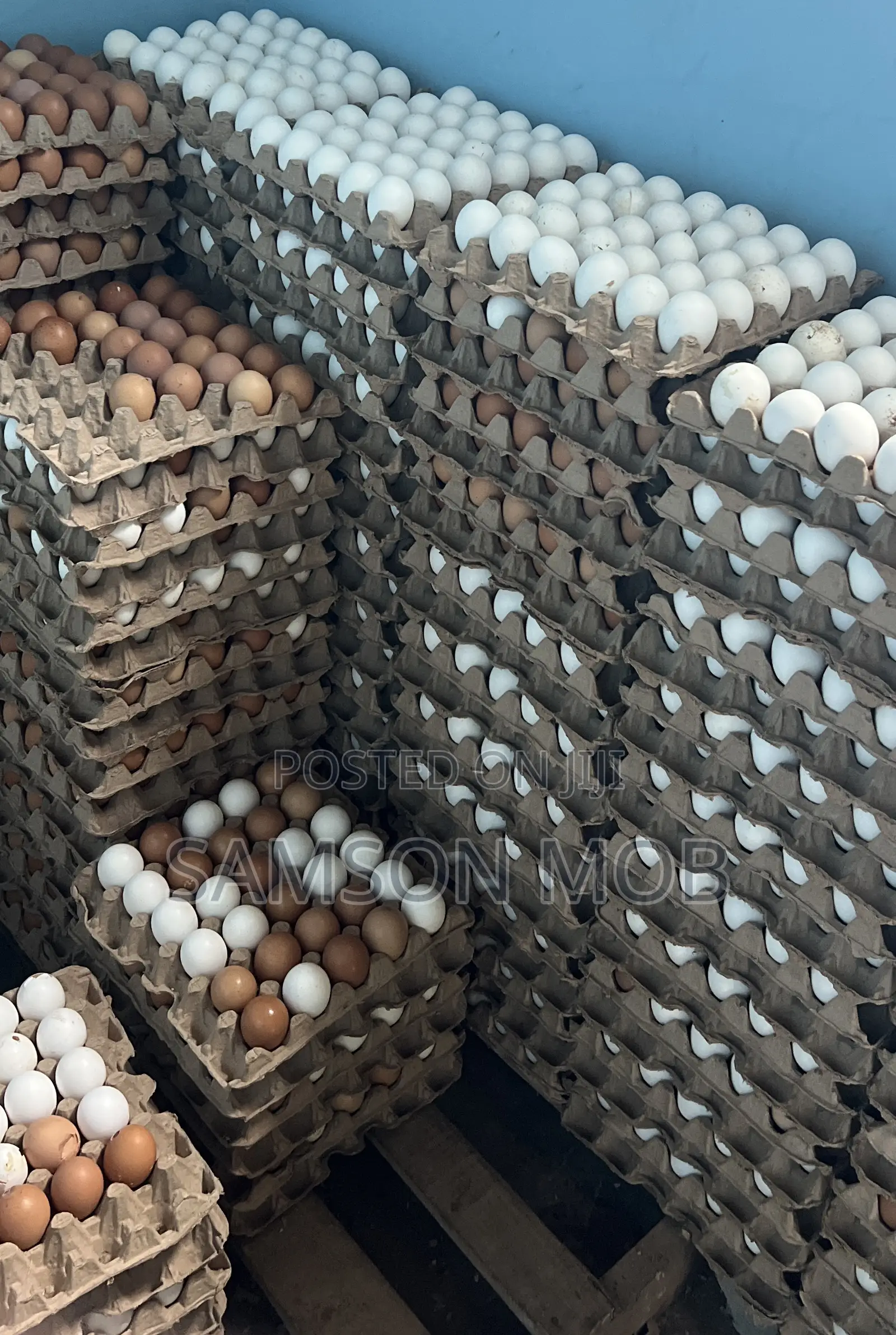Fresh Egg Distribution