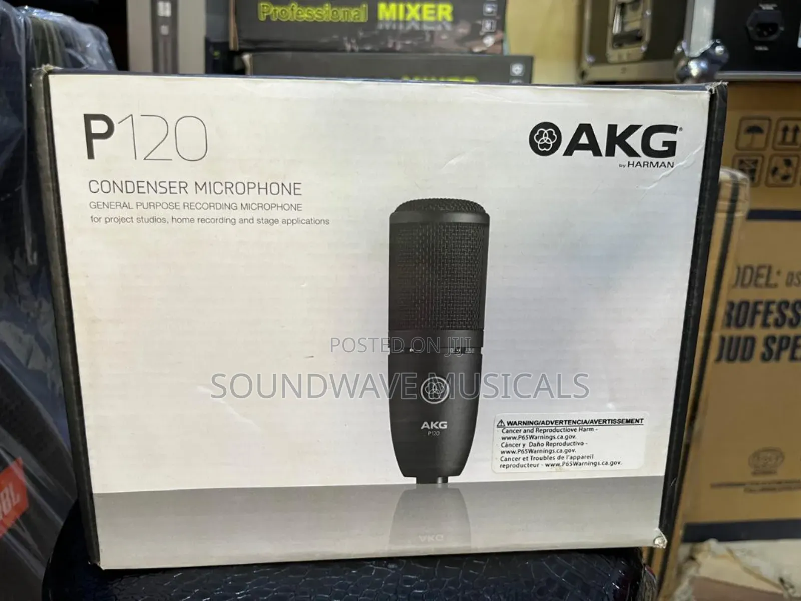 Akg P120 Condenser