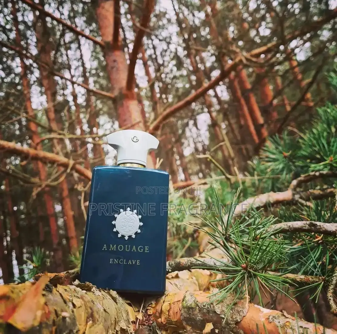 Amouage Enclave