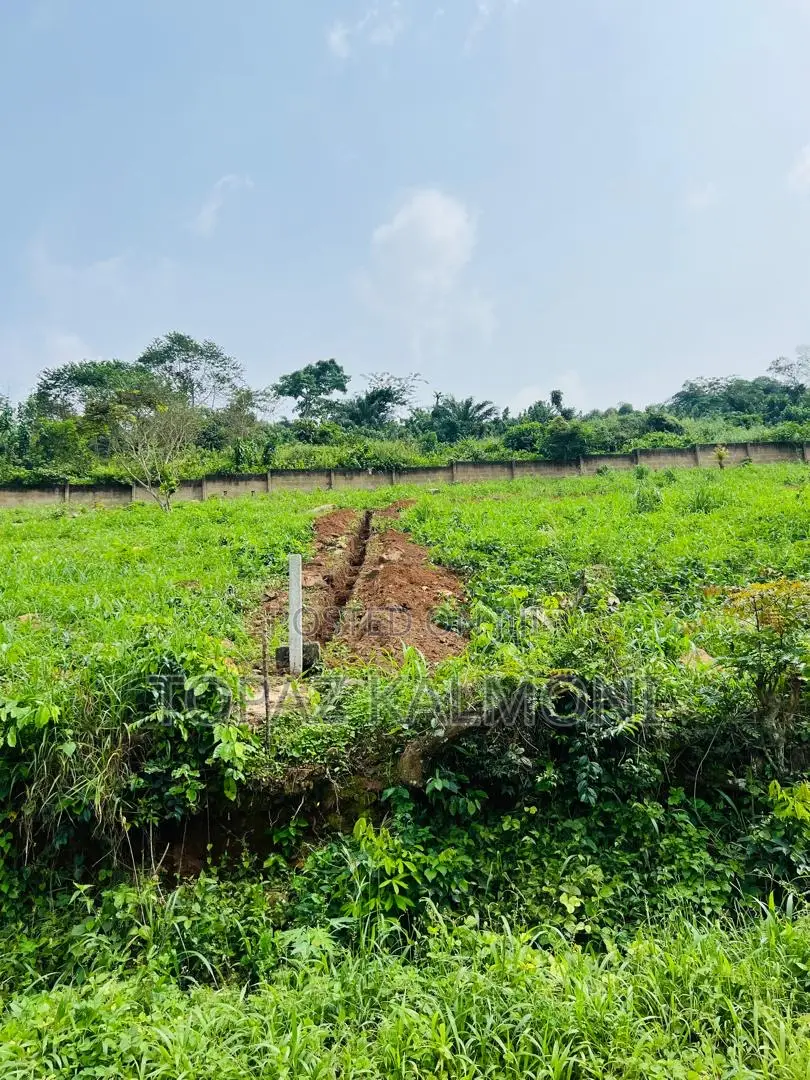 Genuine Fully Registered Two Plots of Land at Aburi - Konkonru