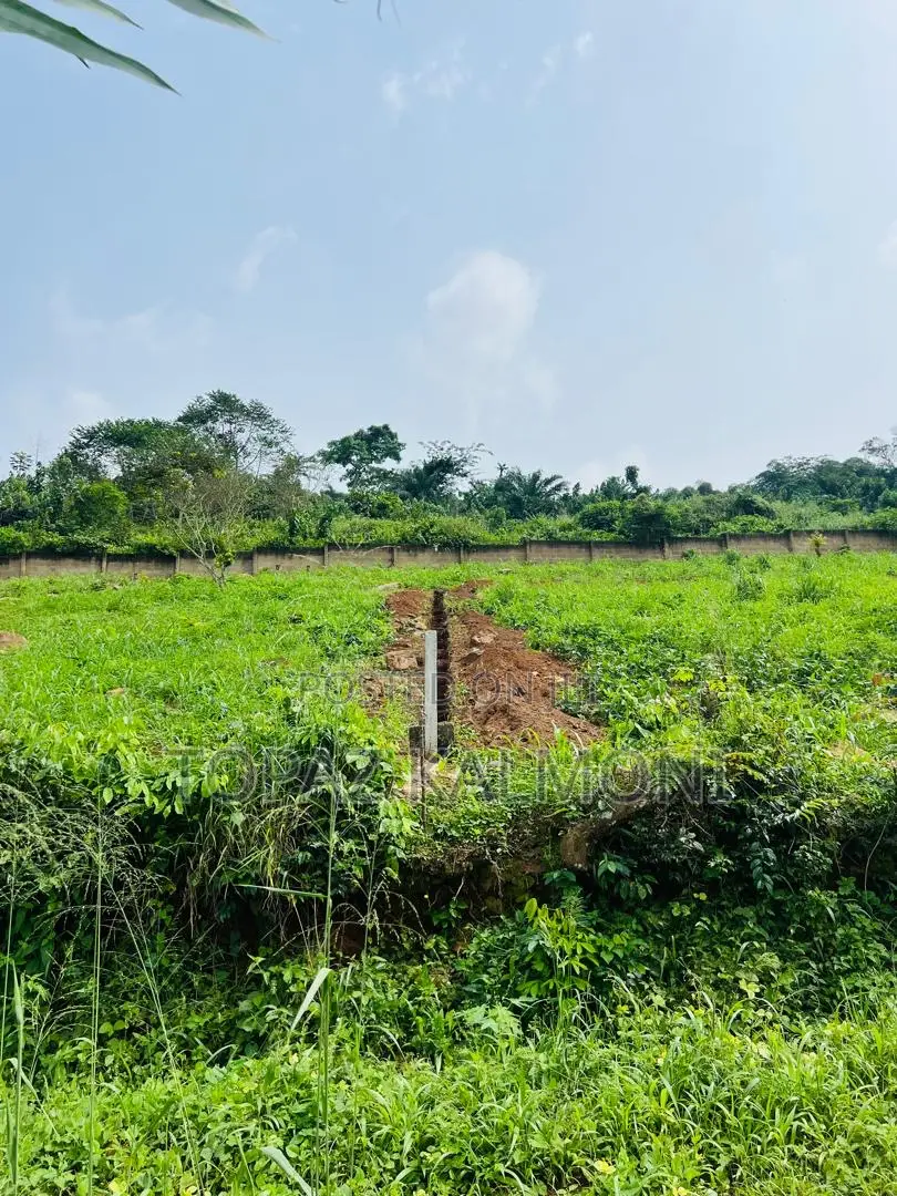 Genuine Fully Registered Two Plots of Land at Aburi - Konkonru