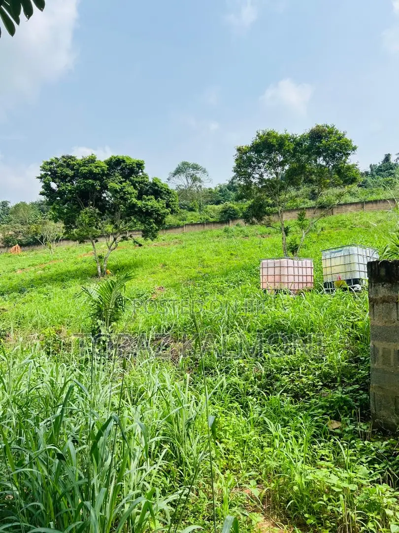 Genuine Fully Registered Two Plots of Land at Aburi - Konkonru