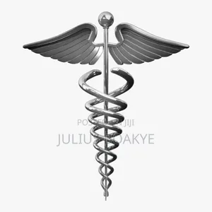 Nursing Officer