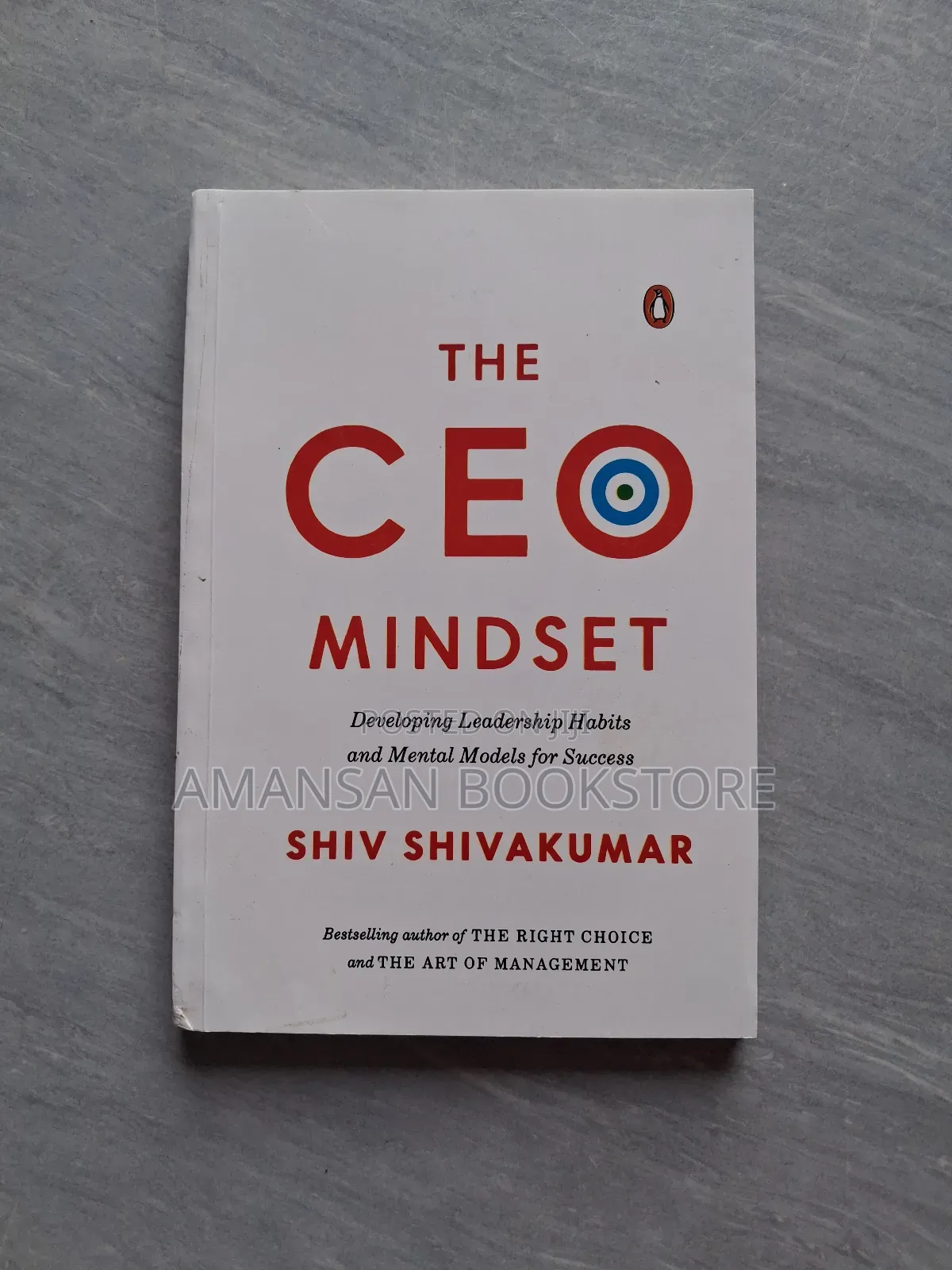The Ceo Mindset