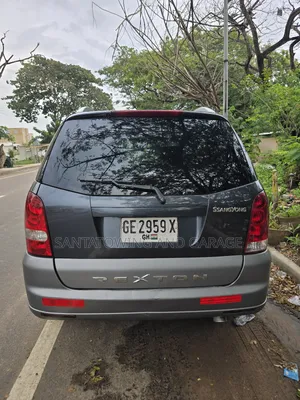 SsangYong Rexton 270 XDi 2006 Gray