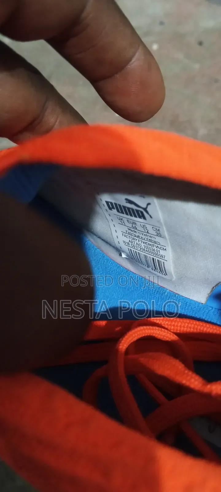 Puma (Netfit)