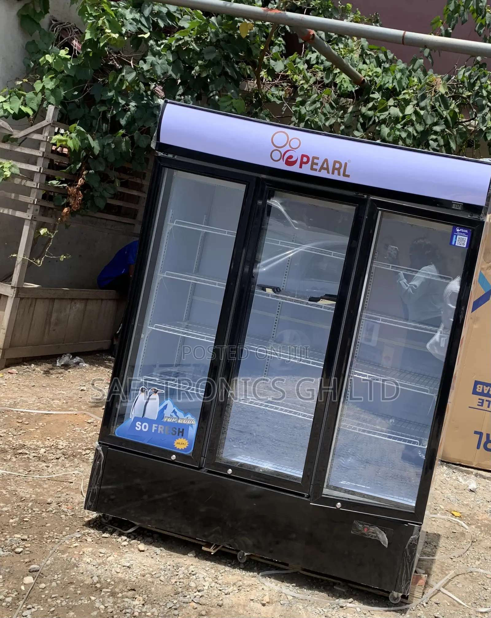 Order Display PVC-150 Pearl Fridge