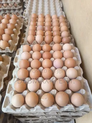 Diamond Eggs