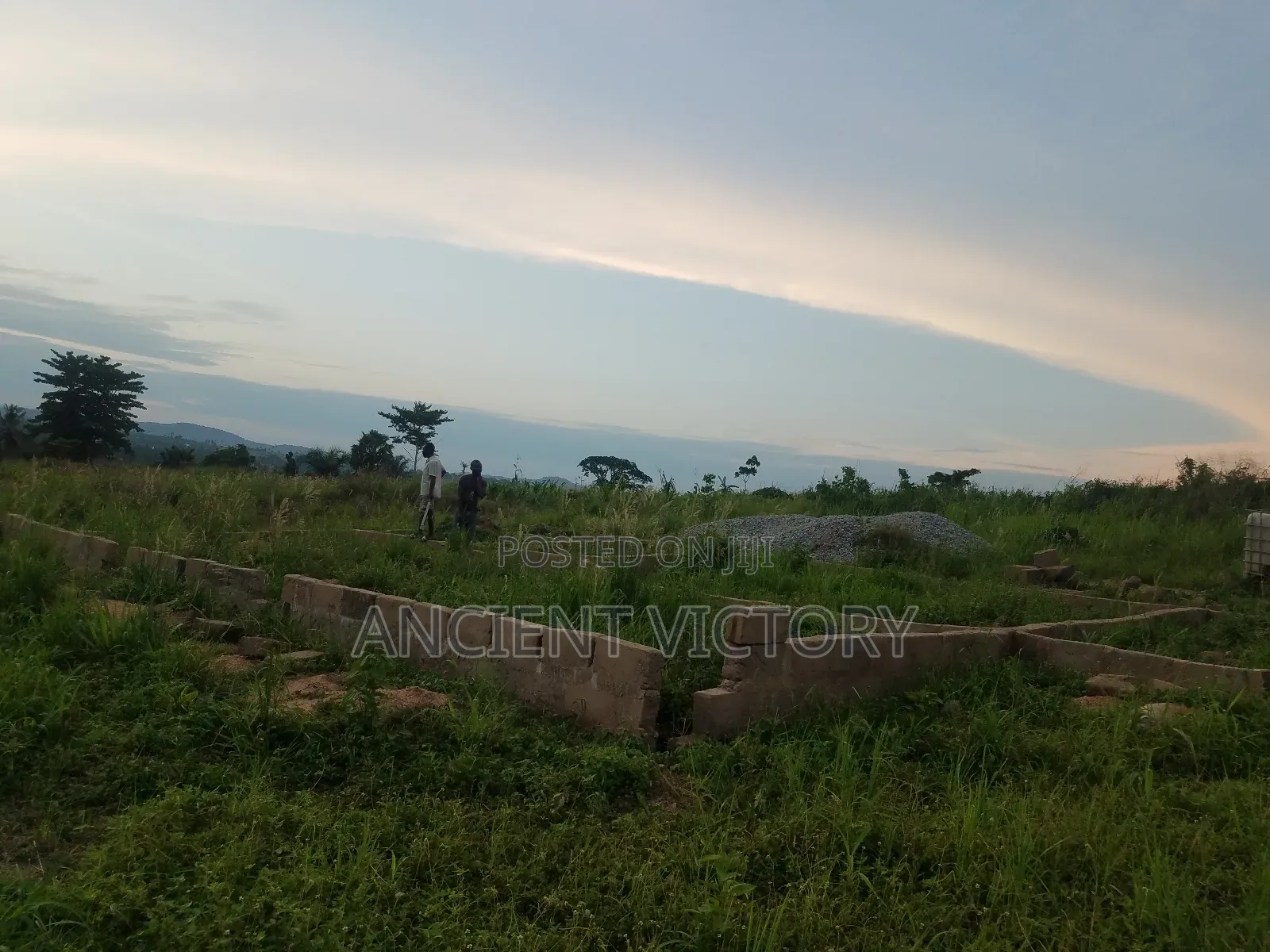 Land (Free Litigation)