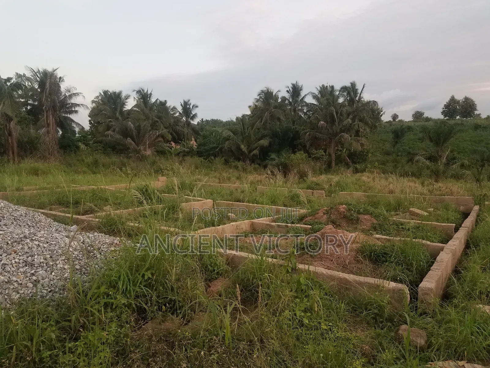Land (Free Litigation)