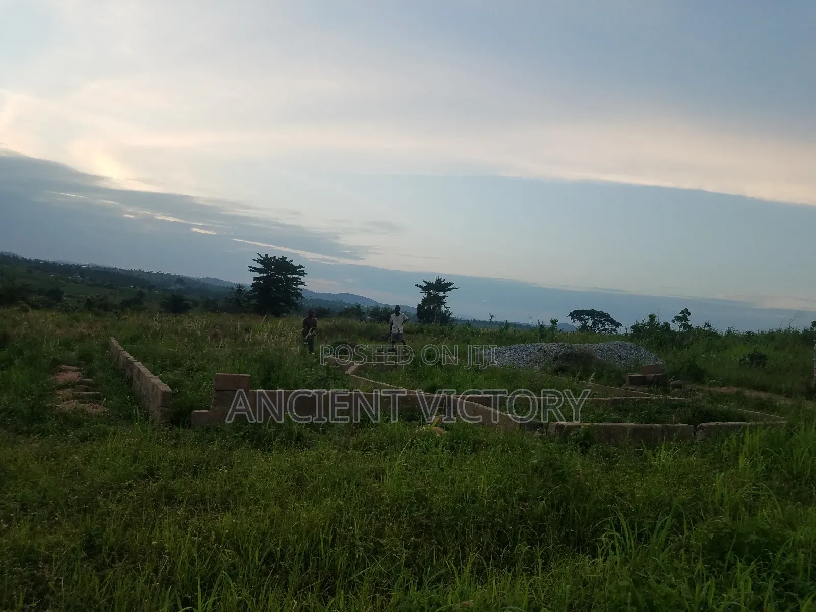 Land (Free Litigation)