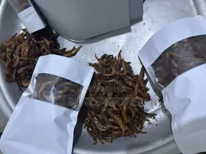 Delicious Dry Smoked Shrimps – Best Taste