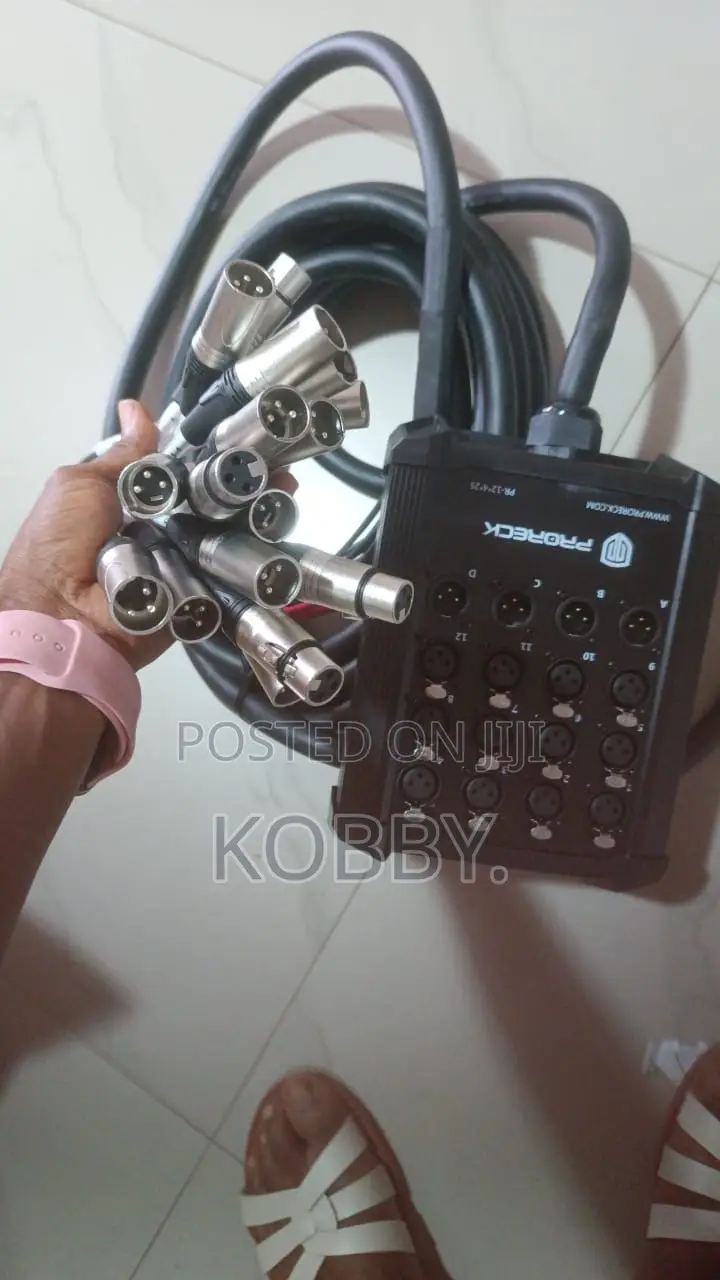 Snake Cable/Audio Link