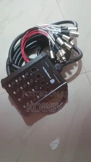 Snake Cable/Audio Link