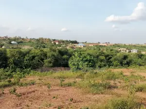 Real Estate