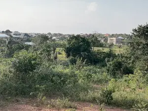 Real Estate