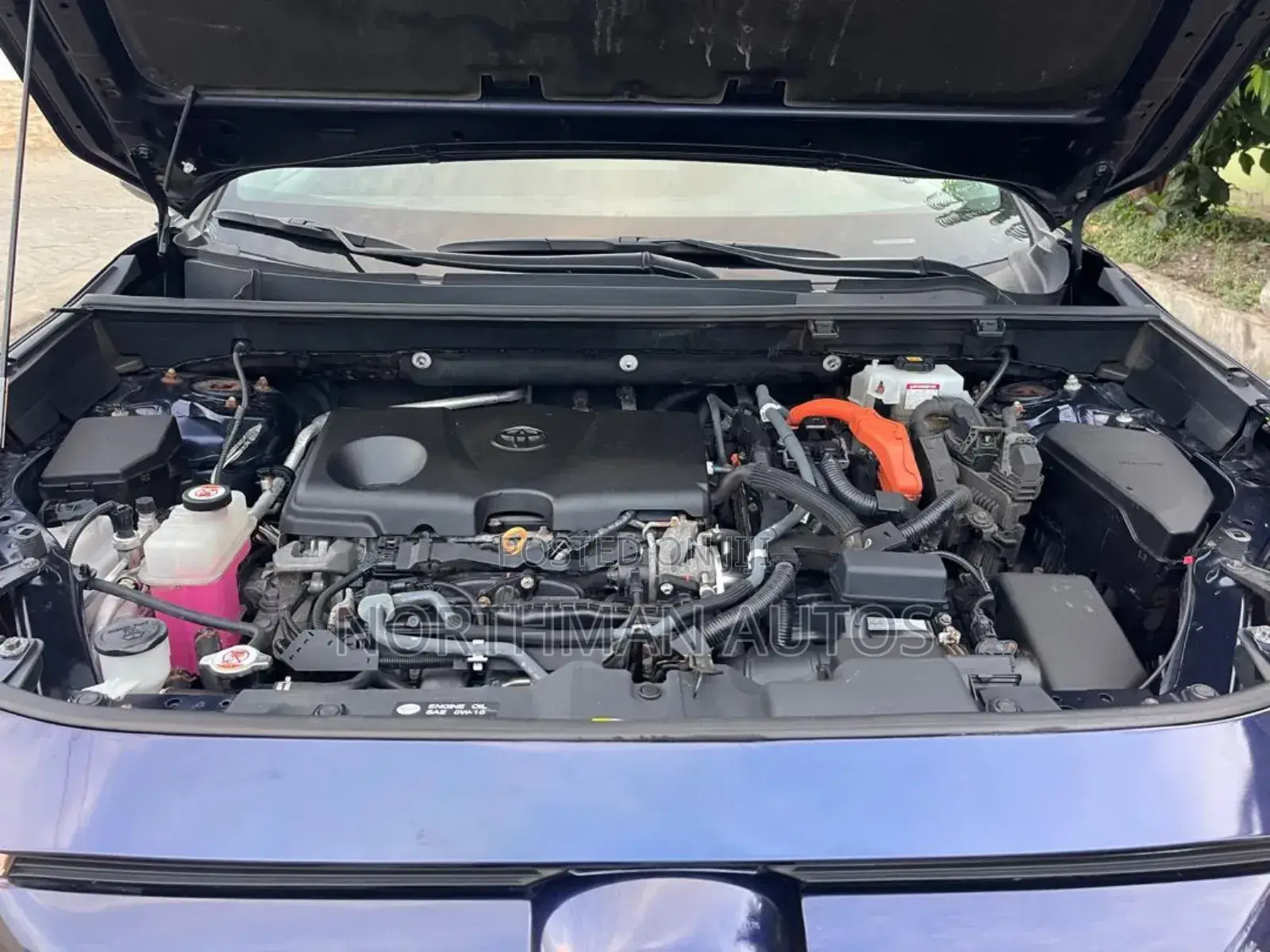 Toyota RAV4 XLE AWD 2019 Blue