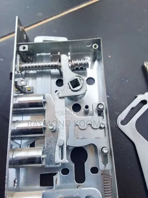 Security Door's Servicing