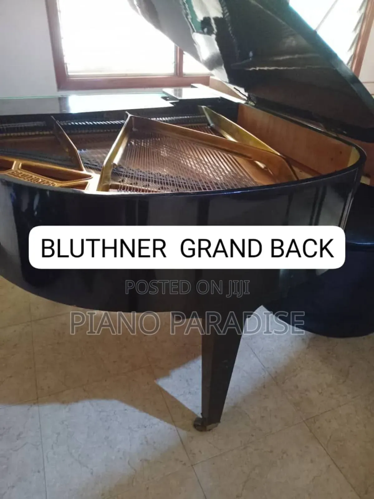 Blüthner Grand Piano (Acoustic) for Sale
