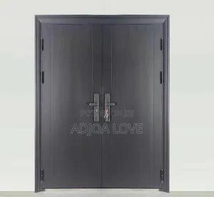 Premium Quality Steel Door - Double