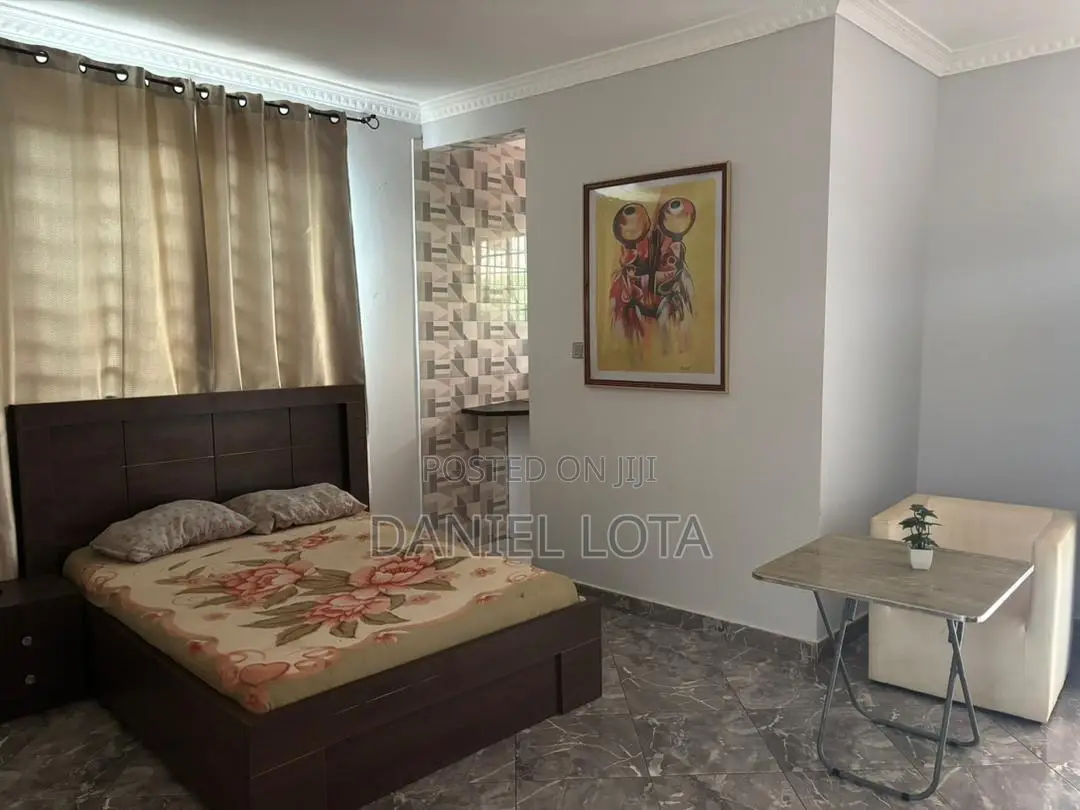 Furnished 1bdrm Apartment in Mayfair, Airport Residential Area for rent