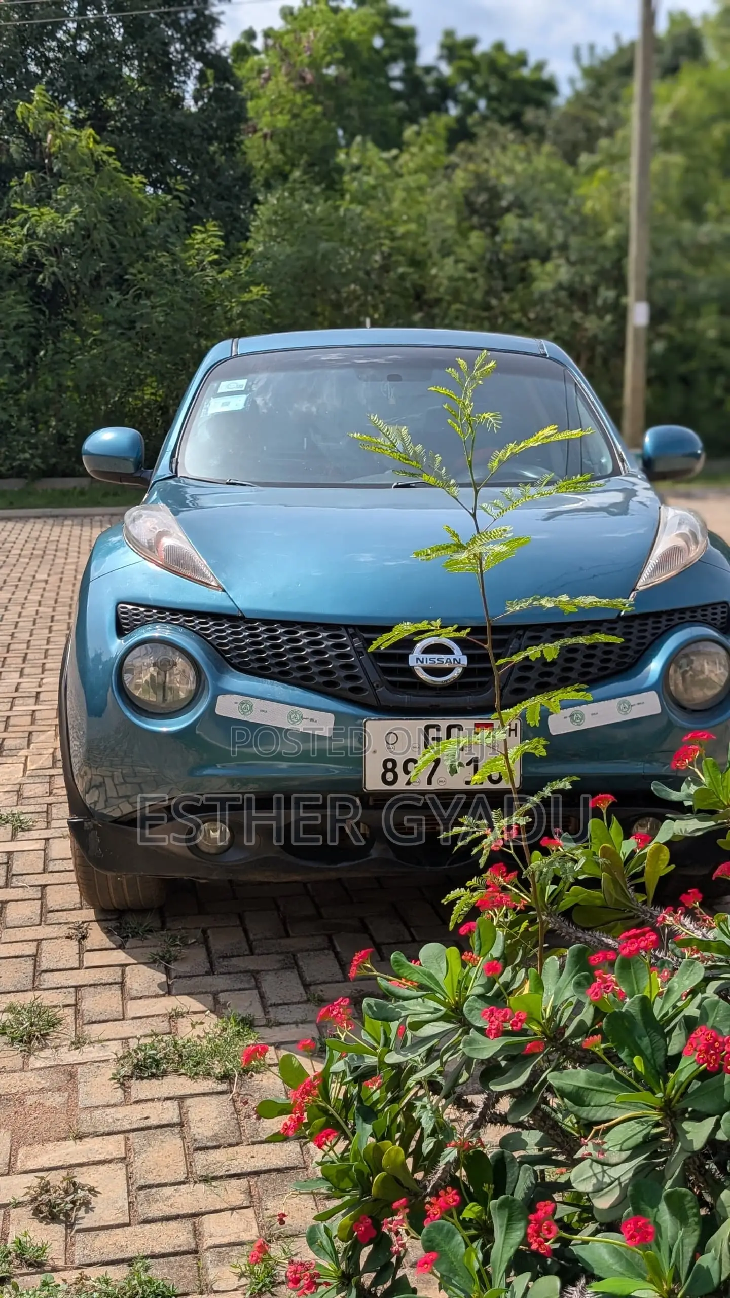 Nissan Juke SV AWD 2012 Teal