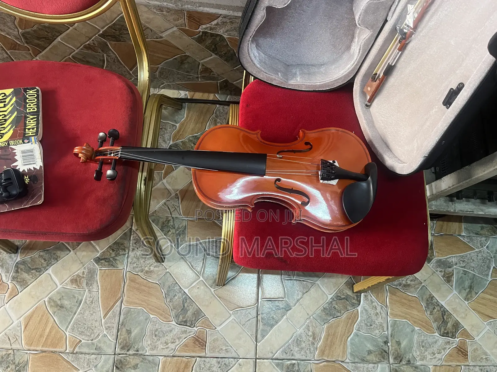Professional Violin 4x4