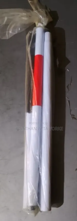 Whitecanes for the Blind Movement