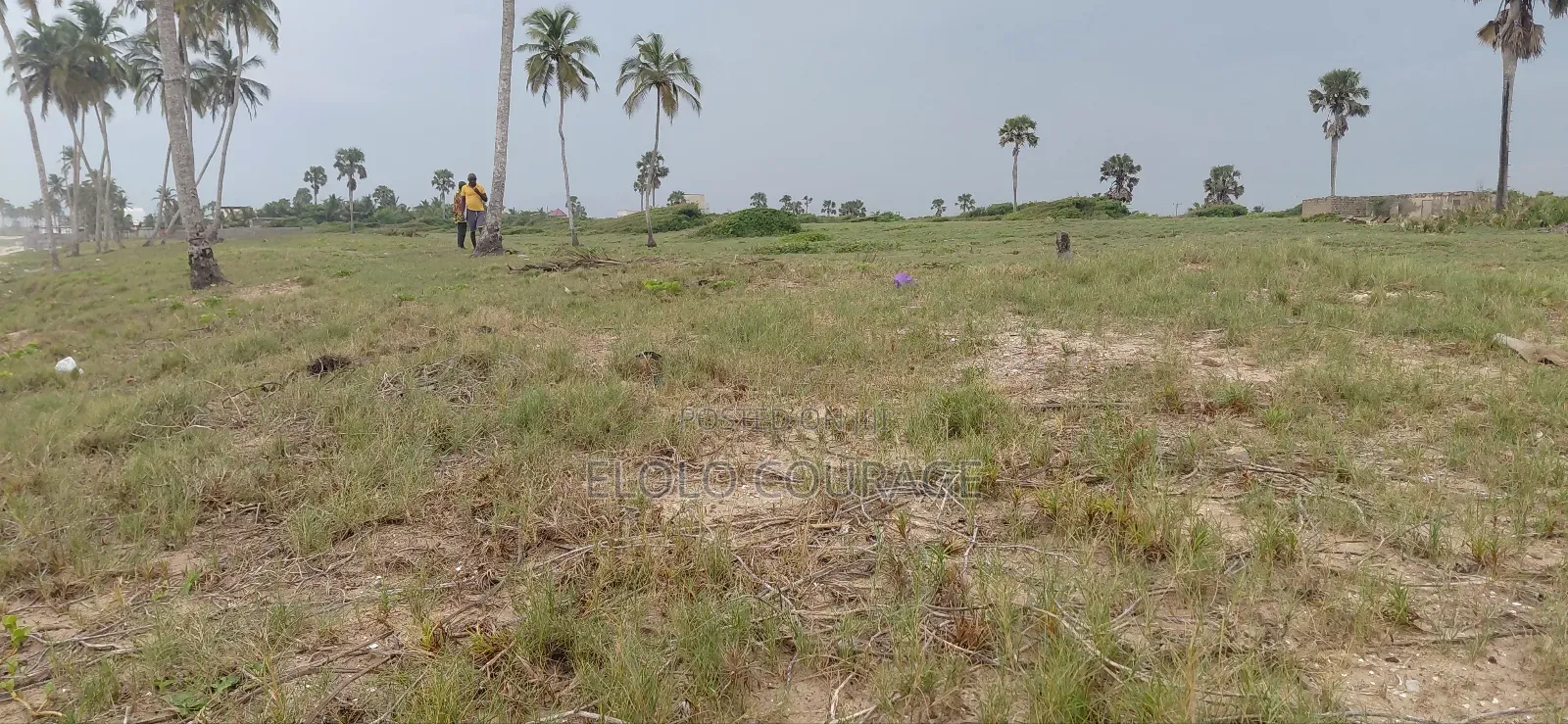 Titled Beach Land For Sale At Kokrobite