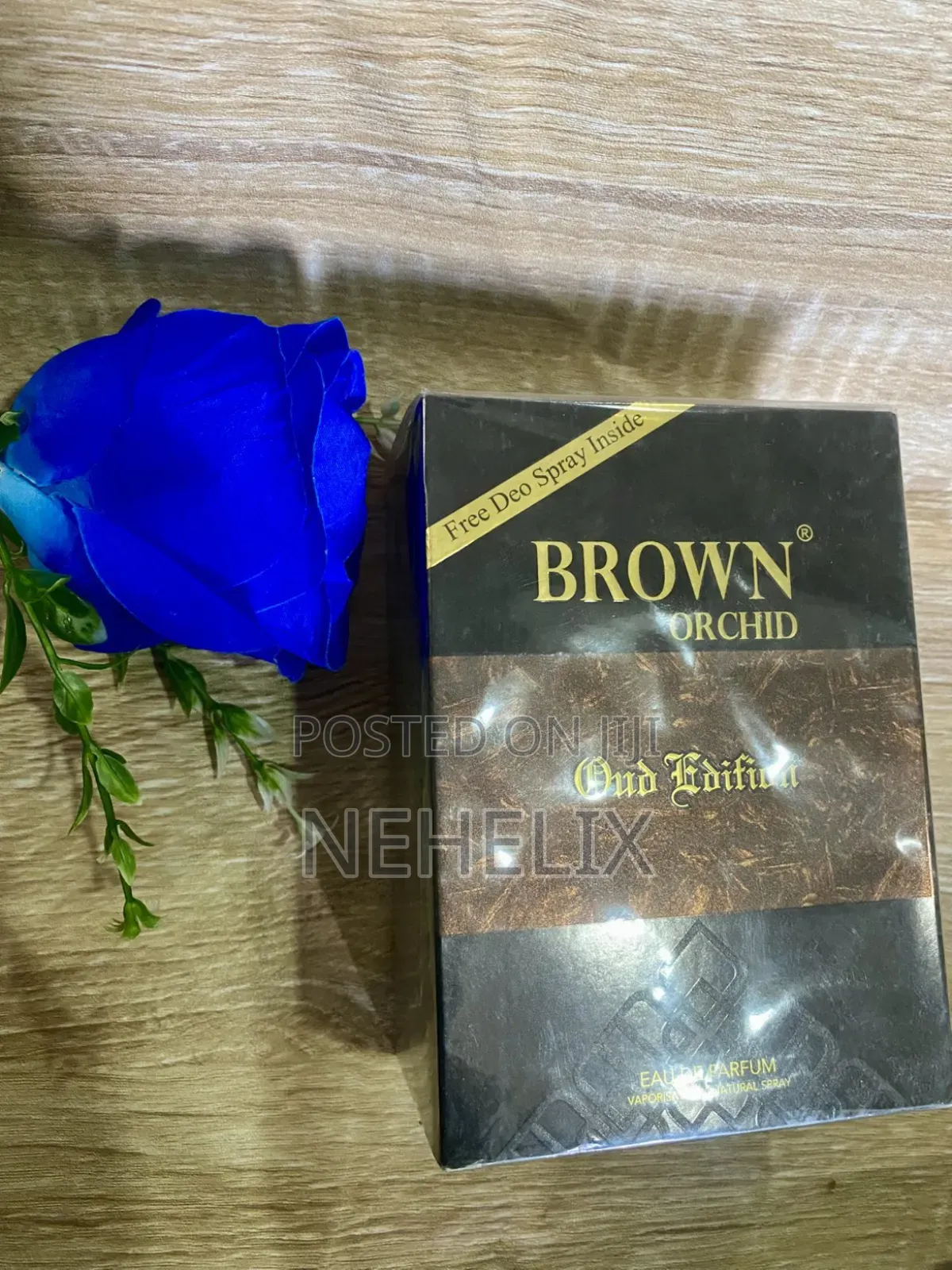 Brown Orchid