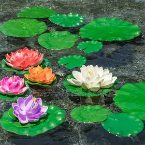 Water Lily For Aquarium & Fish Ponds Ghana