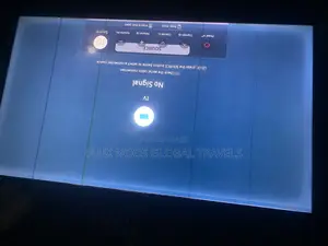 Original 43 Inch Samsung Tv. Screen Delays Before Coming