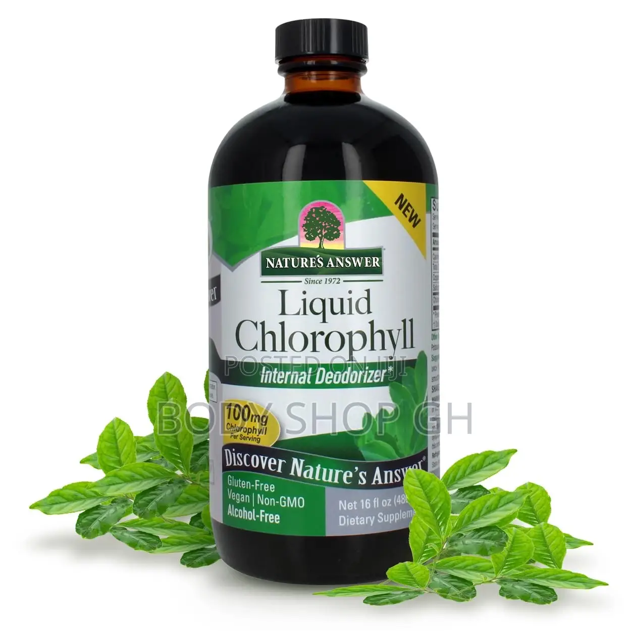 Nature's Answer Liquid Chlorophyll, 100 Mg, 16 Fl Oz (480 Ml)