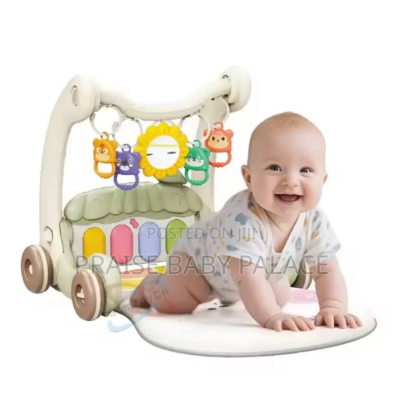 2 in 1 Baby Play Mat and Walker