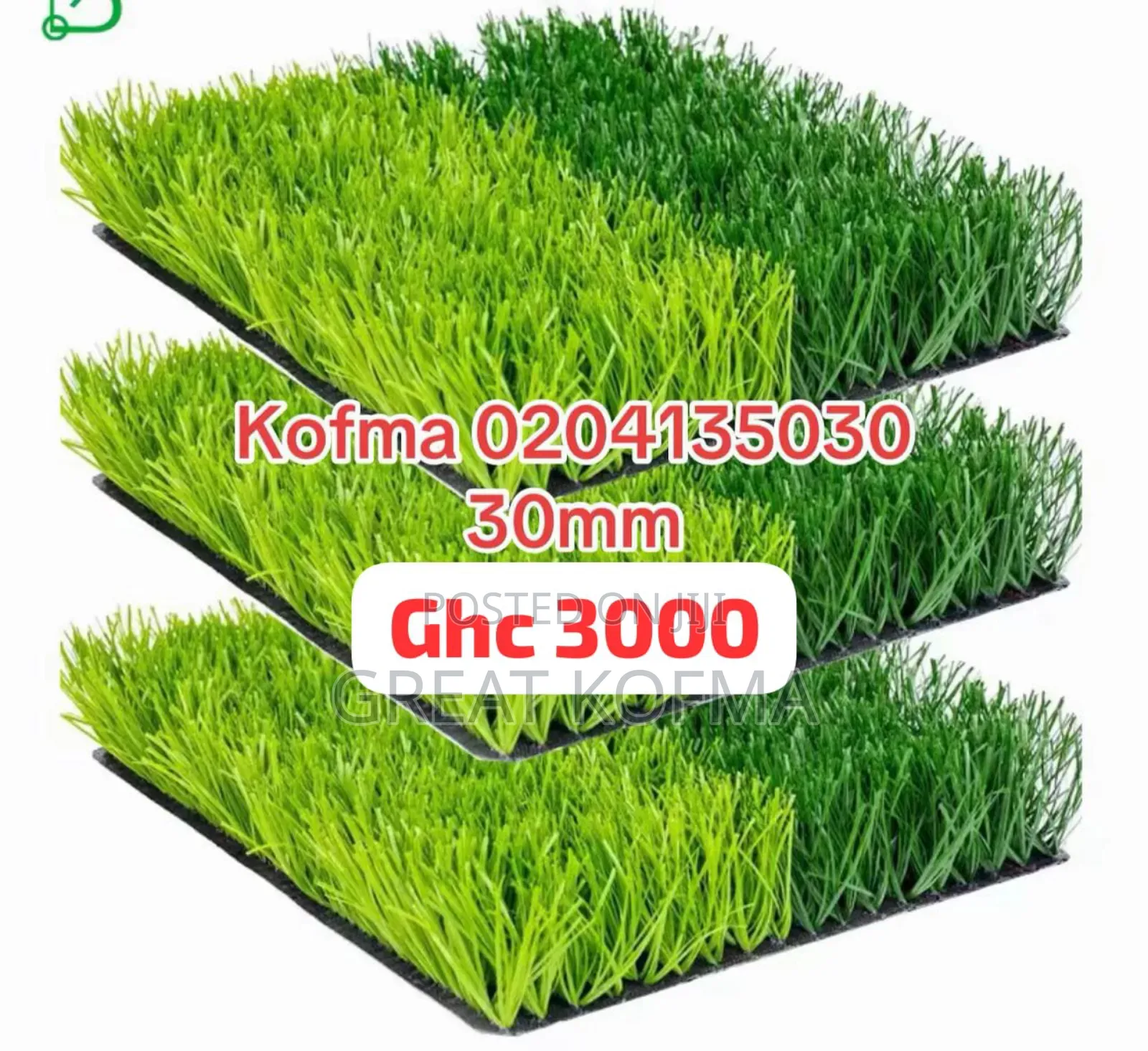 Green Grass Carpet