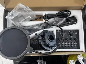 Professional Condenser Microphone/ Mic